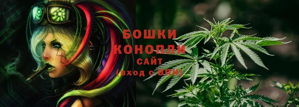 PSILOCYBIN Бронницы