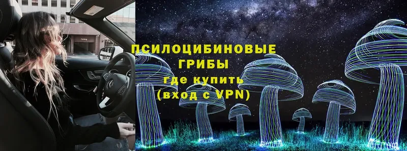 omg вход  Колпашево  Псилоцибиновые грибы MAGIC MUSHROOMS  продажа наркотиков 